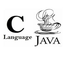 C语言的基本数据类型和运行结果